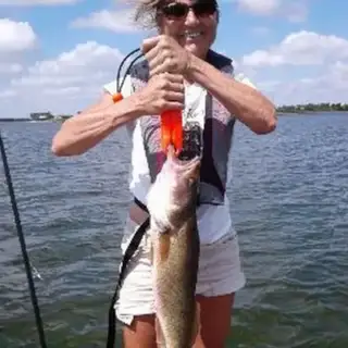 Shelly Stephenson